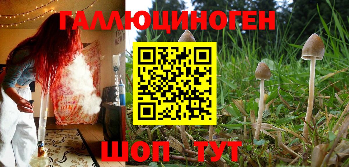 Клинцы  Галлюциногенные грибы MAGIC MUSHROOMS  Галлюциногенные грибы GOLDEN TEACHER  Вход с VPN 